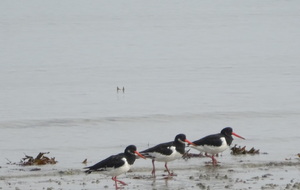 Equipe Division 4, poule C